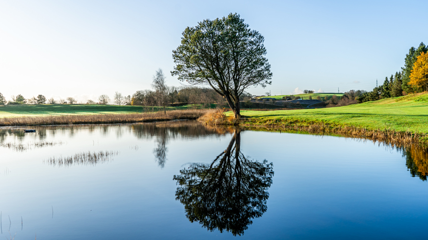 HimmerLand